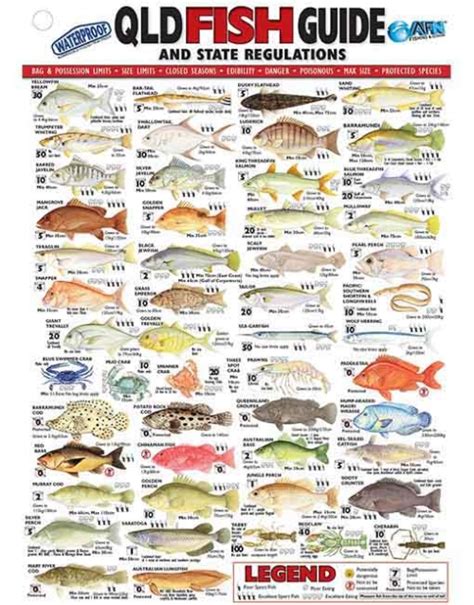 live fish online queensland.